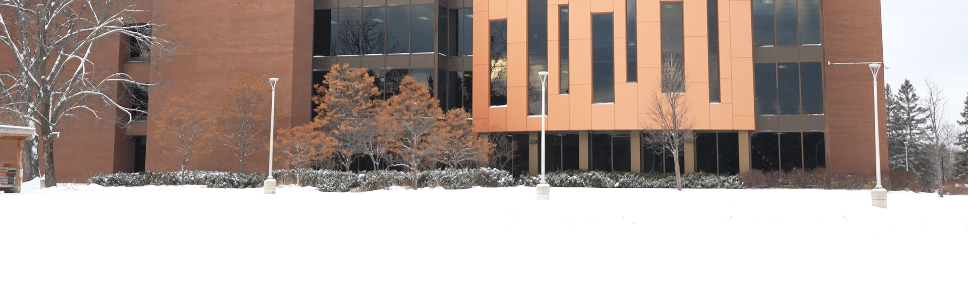 Image for Winter Season