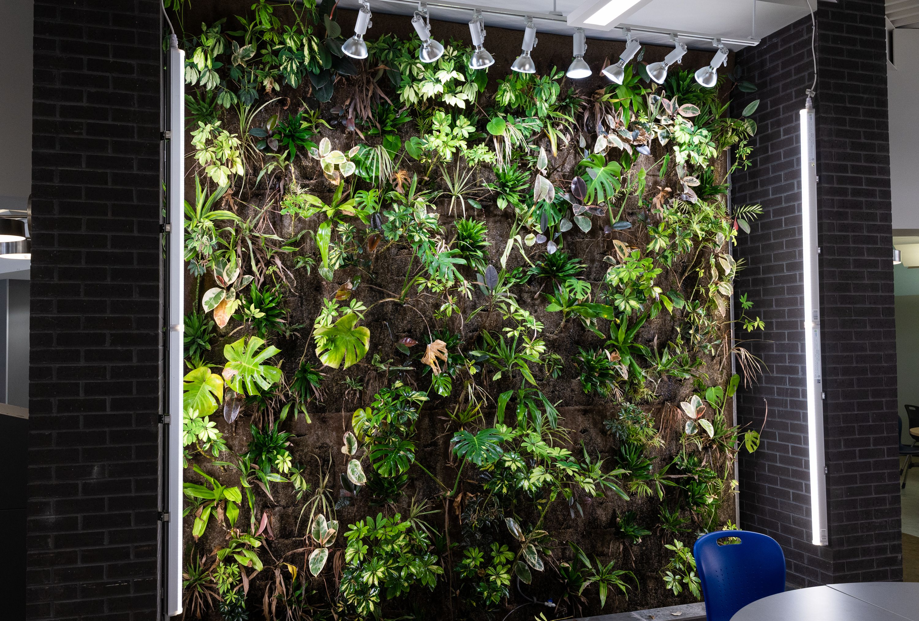 Green Wall