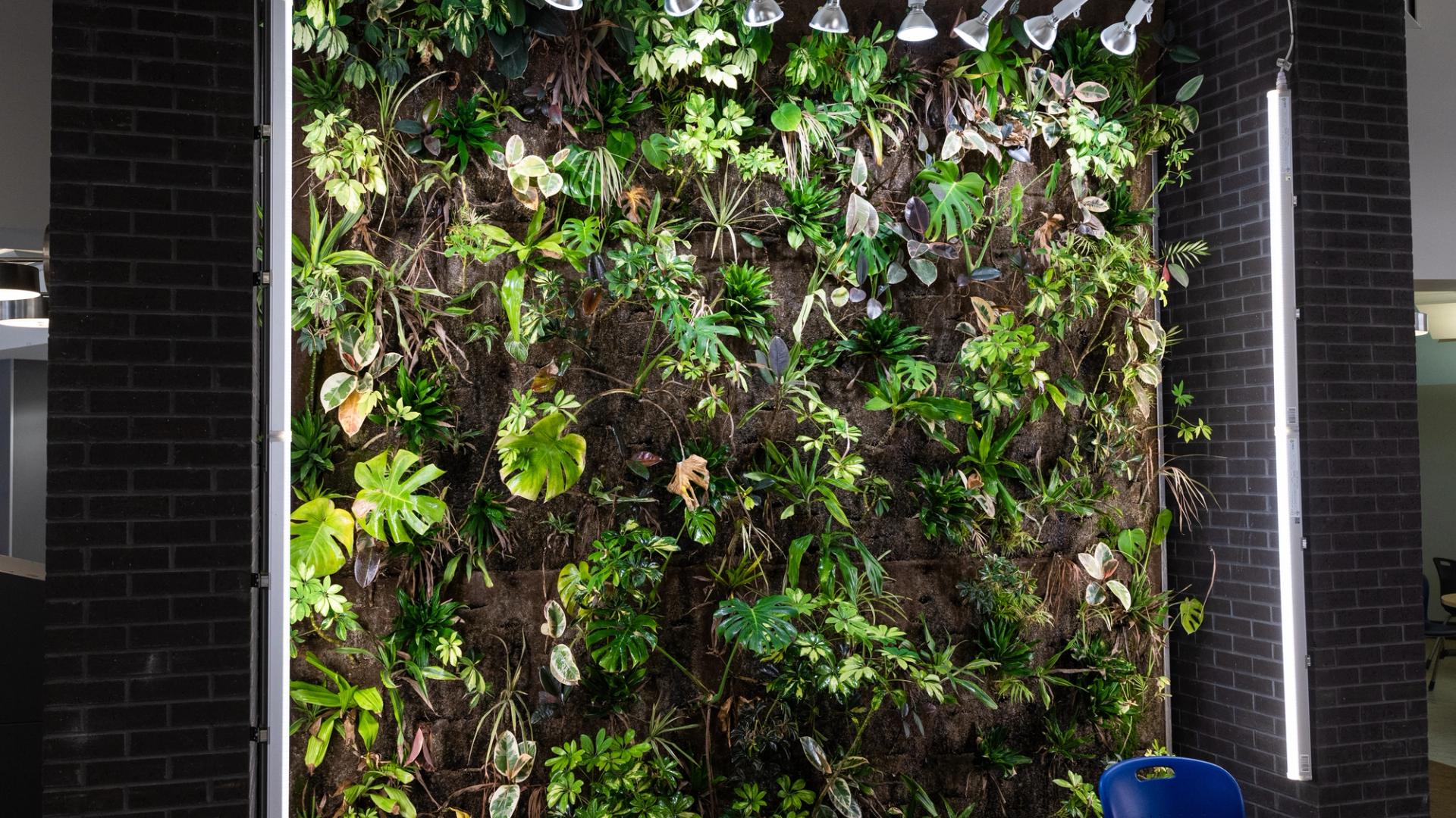 Green Wall