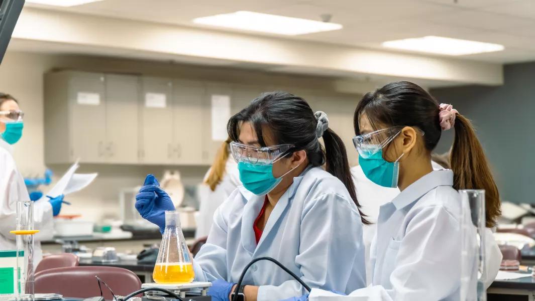 Students working together with lab equipment and bright yellow solution