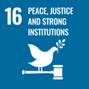 Sustainable Development Goal 16: Peace, justice and strong institutions Sustainable Development Goal 16: Peace, justice and strong institutions