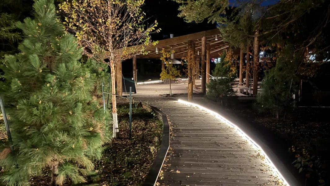Curved, lit boardwalk leading through trees to a campus pavilion at night