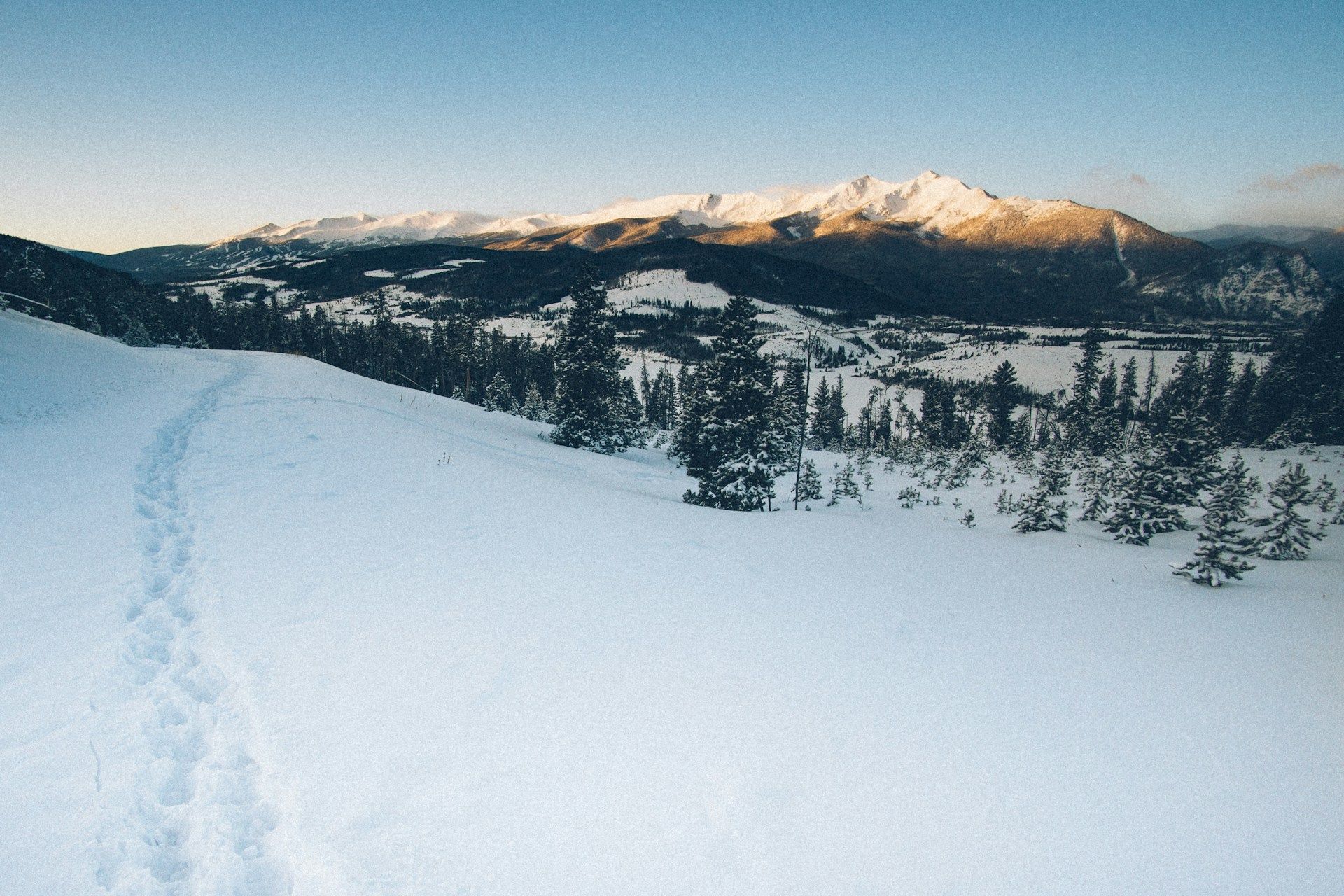 Snow-covered mountain landscape with evergreen trees and footprints leading across an open ridge