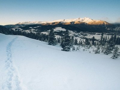 Snow-covered mountain landscape with evergreen trees and footprints leading across an open ridge