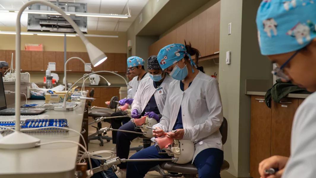 Dental assisting students practicing skills on dental simulation mannequin