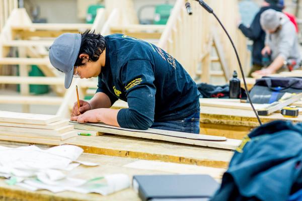 Apprenticeship area of interest