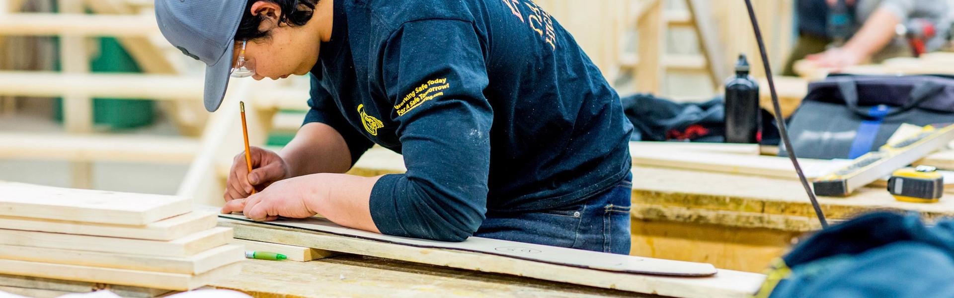 Apprenticeship area of interest