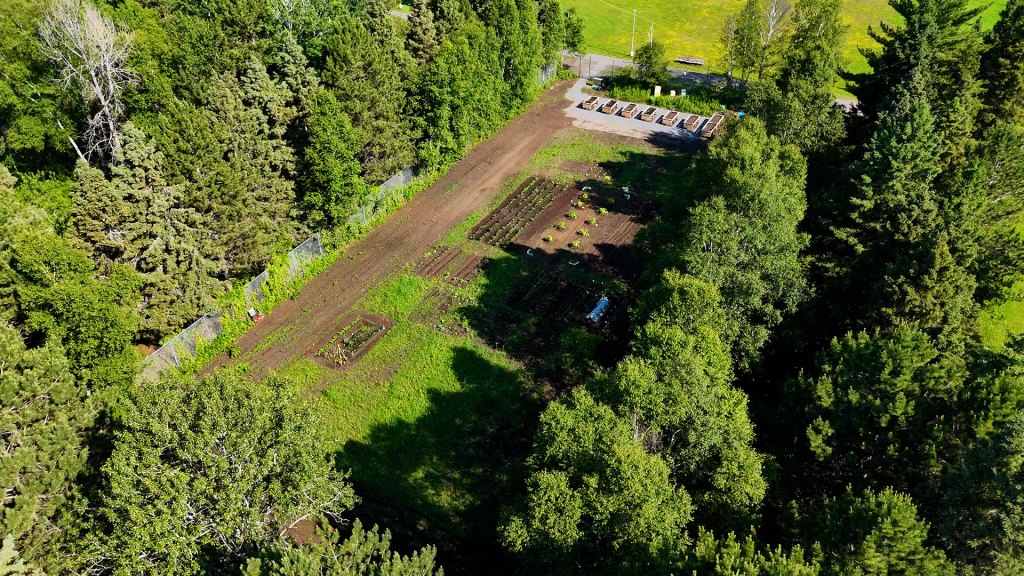 Community garden