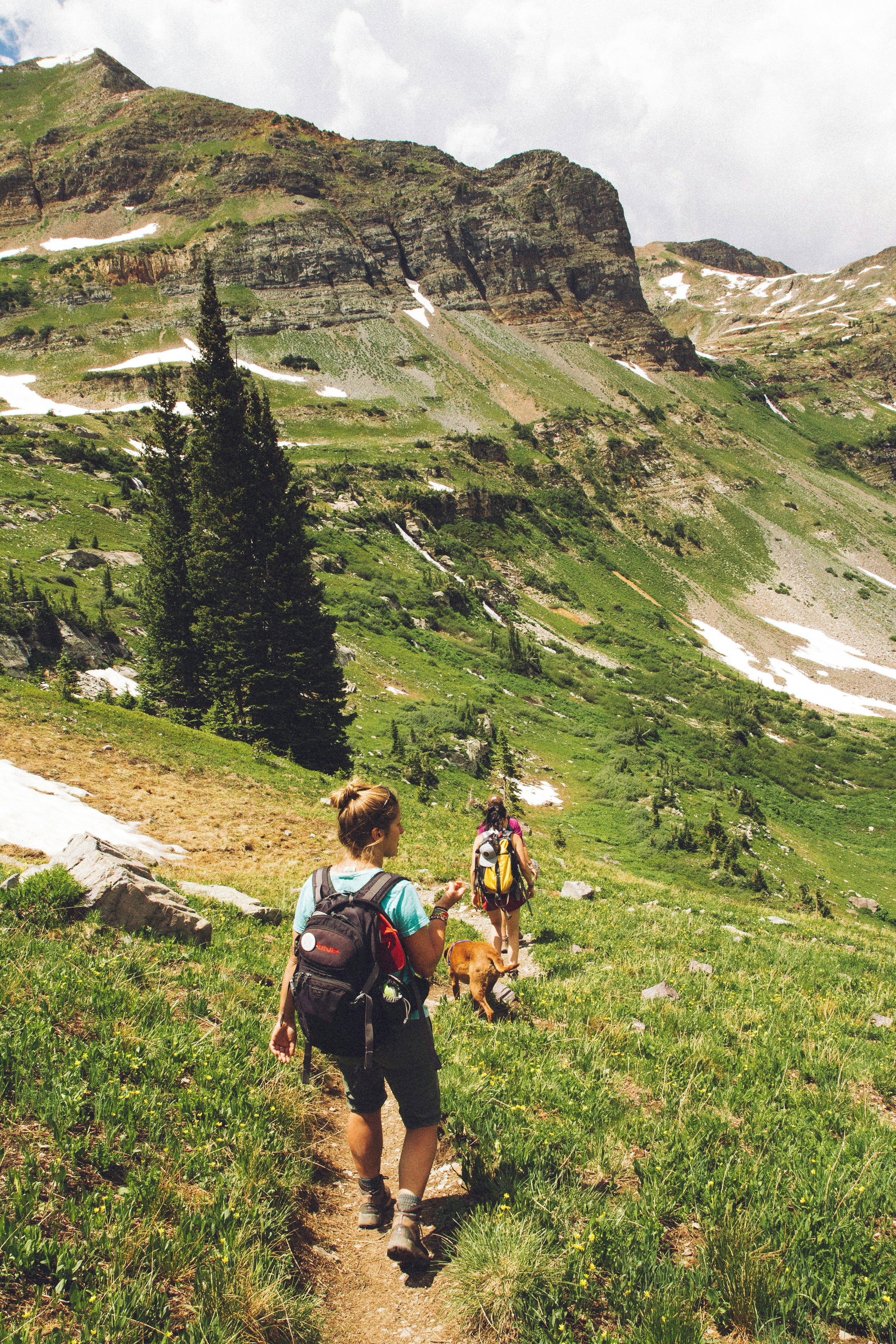 People hiking on a mountain trail through alpine terrain with patches of snow and evergreen trees