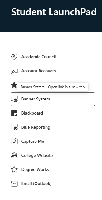 Student LaunchPad page showing a vertical menu of student services, with Banner System selected