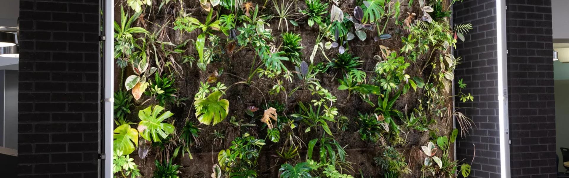Indoor living wall featuring a variety of plants in a sustainable campus learning space