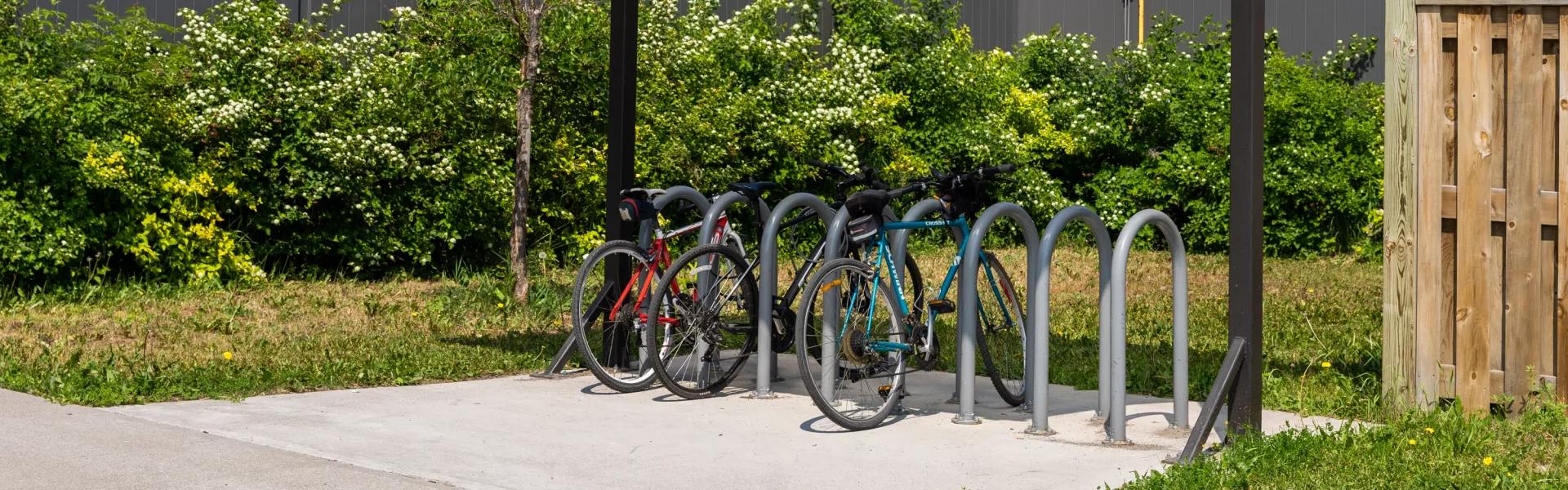 Image for How You Can Help On Campus