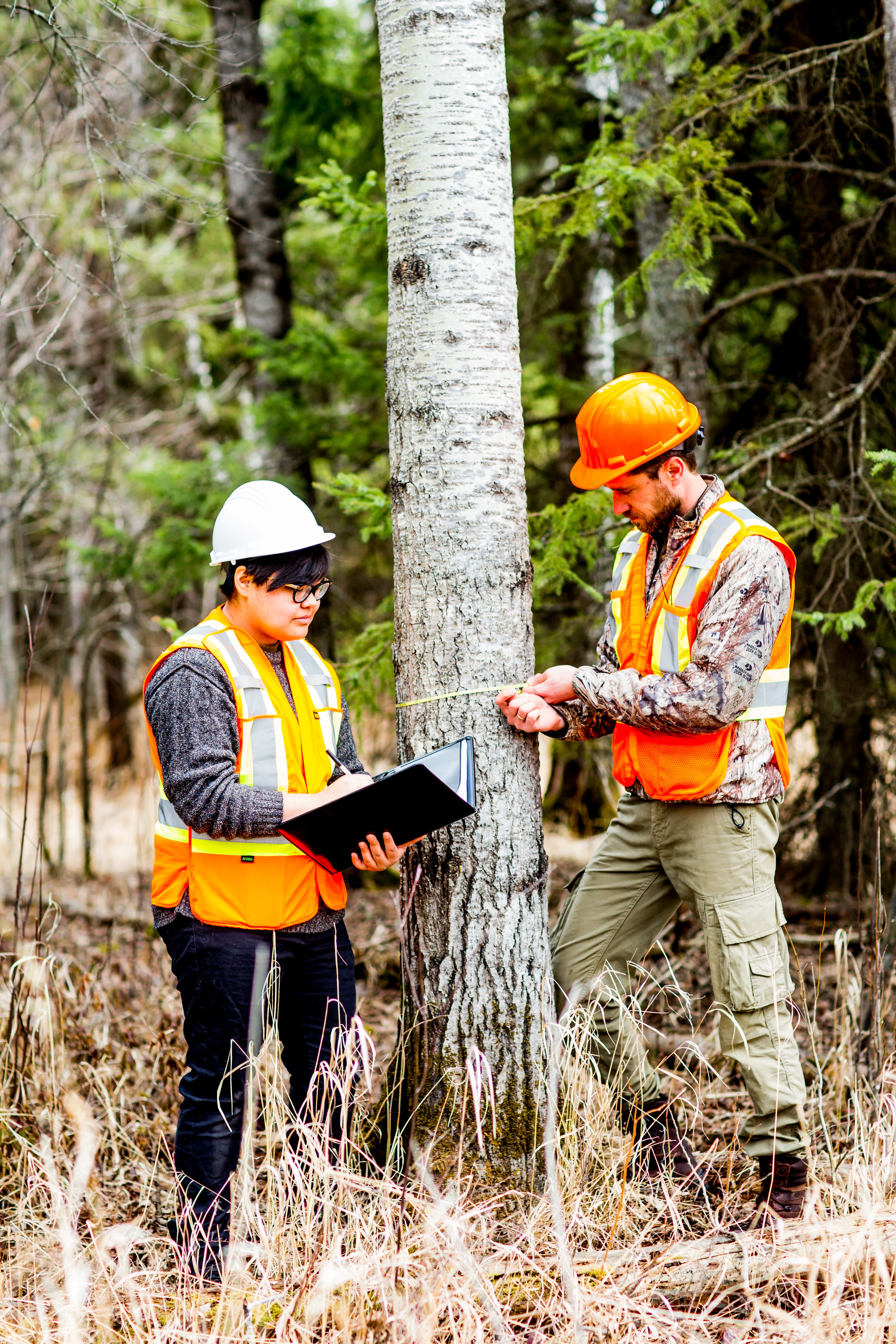 Forestry Technician: Ecosystem Management