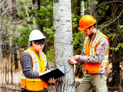 Forestry Technician: Ecosystem Management