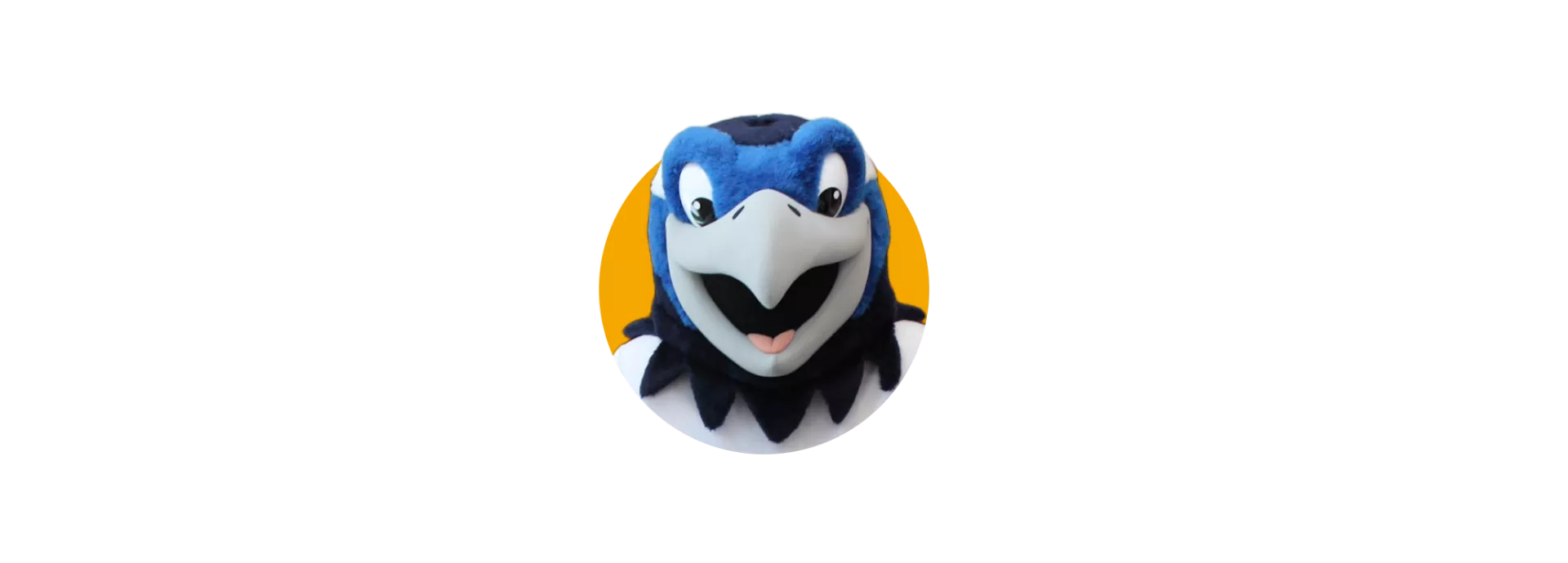 Storm Chat-Bot logo