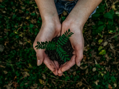 Hands holding soil and a young plant, representing environmental stewardship and sustainability