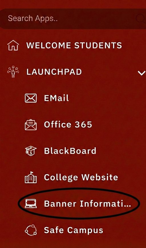 Student portal navigation menu with Banner Information highlighted