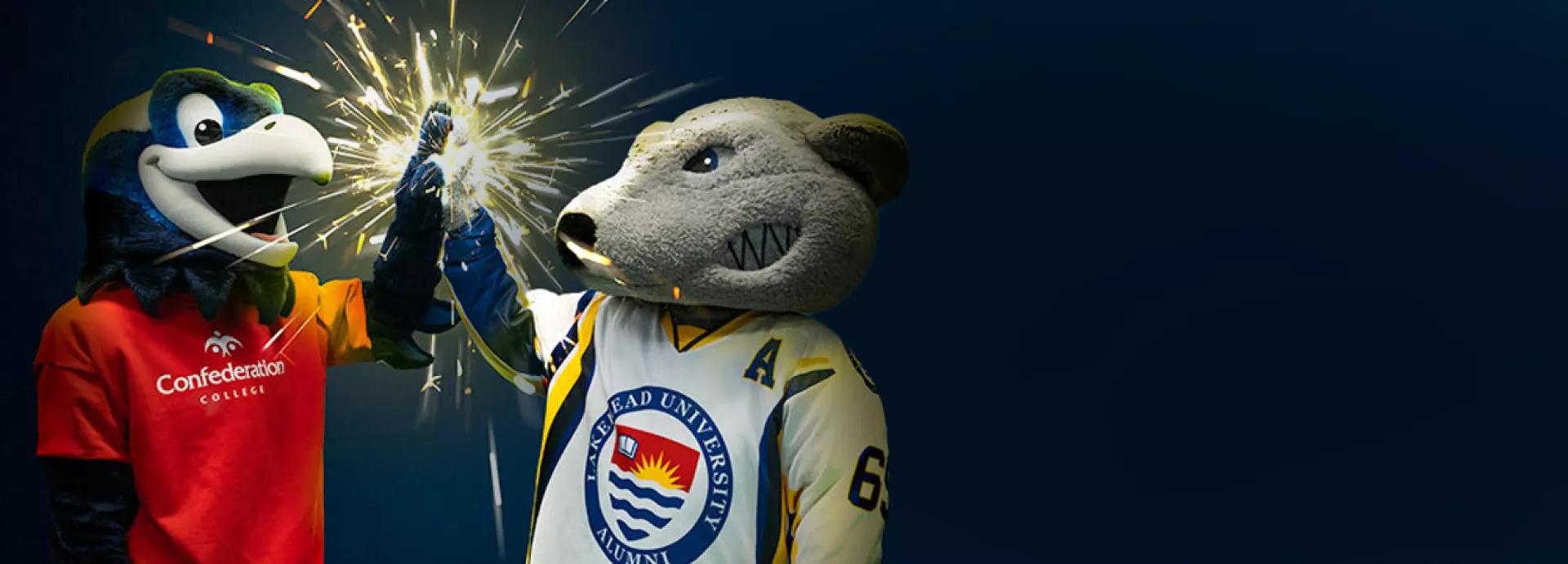 Image for Joint Admission Agreement with Lakehead University