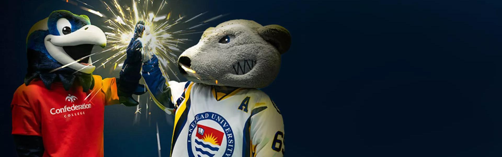 Image for Joint Admission Agreement with Lakehead University