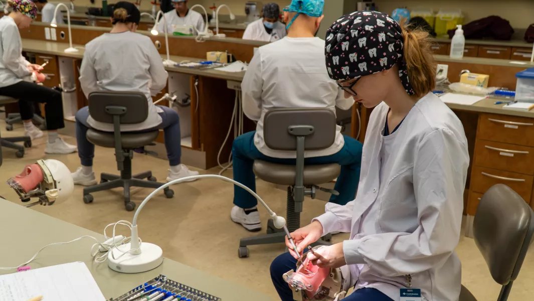 Dental assisting students working on mannequin teeth at individual stations