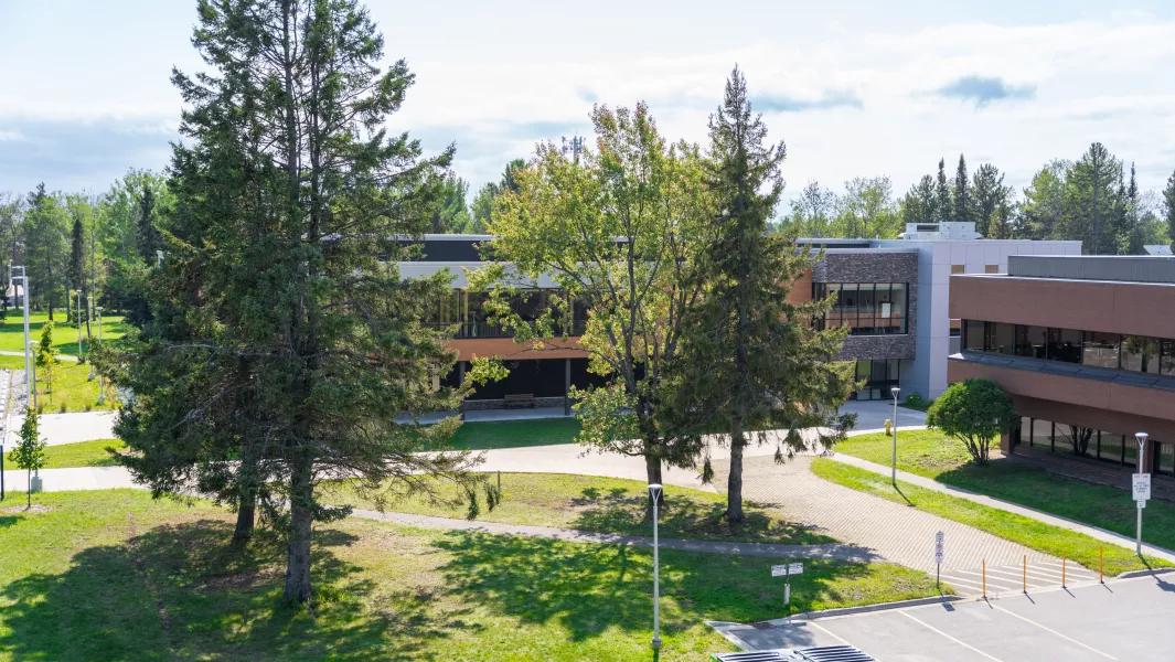 Aerial view of campus buildings surrounded by trees and pathways