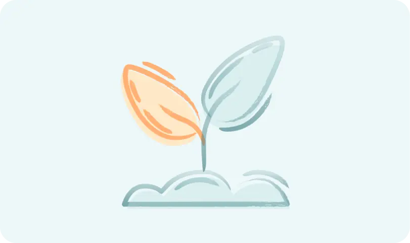 Embedding resilience in classrooms
