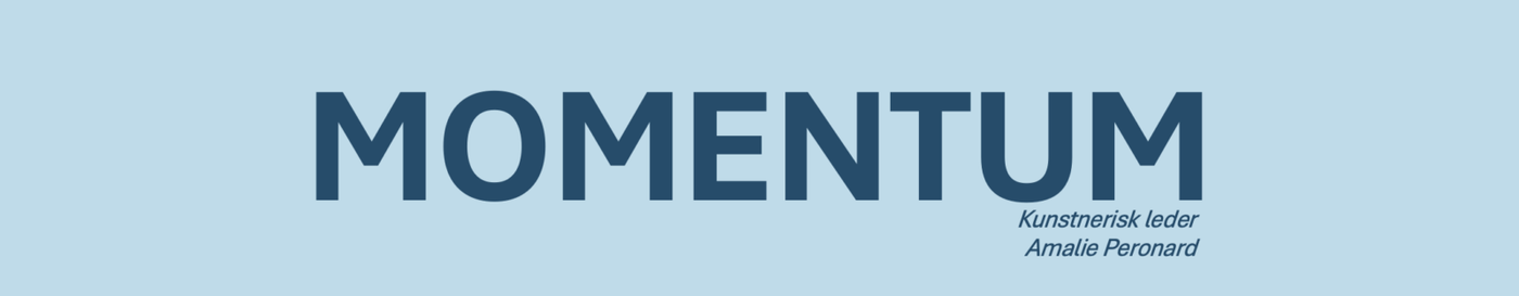 Audition til Momentum sæson 2026/27