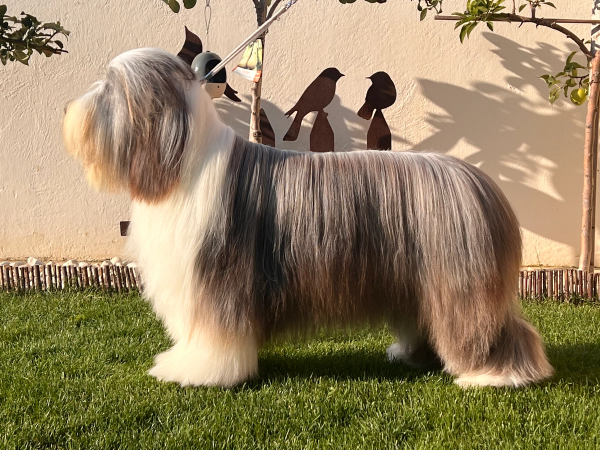 Photo de MAGGIE