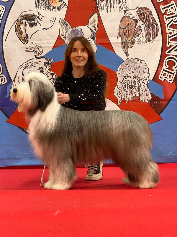 Photo — PARIS DOG SHOW