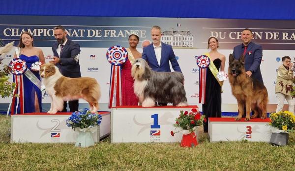 Photo — CHAMPIONNAT DE FRANCE 2025 DIJON
