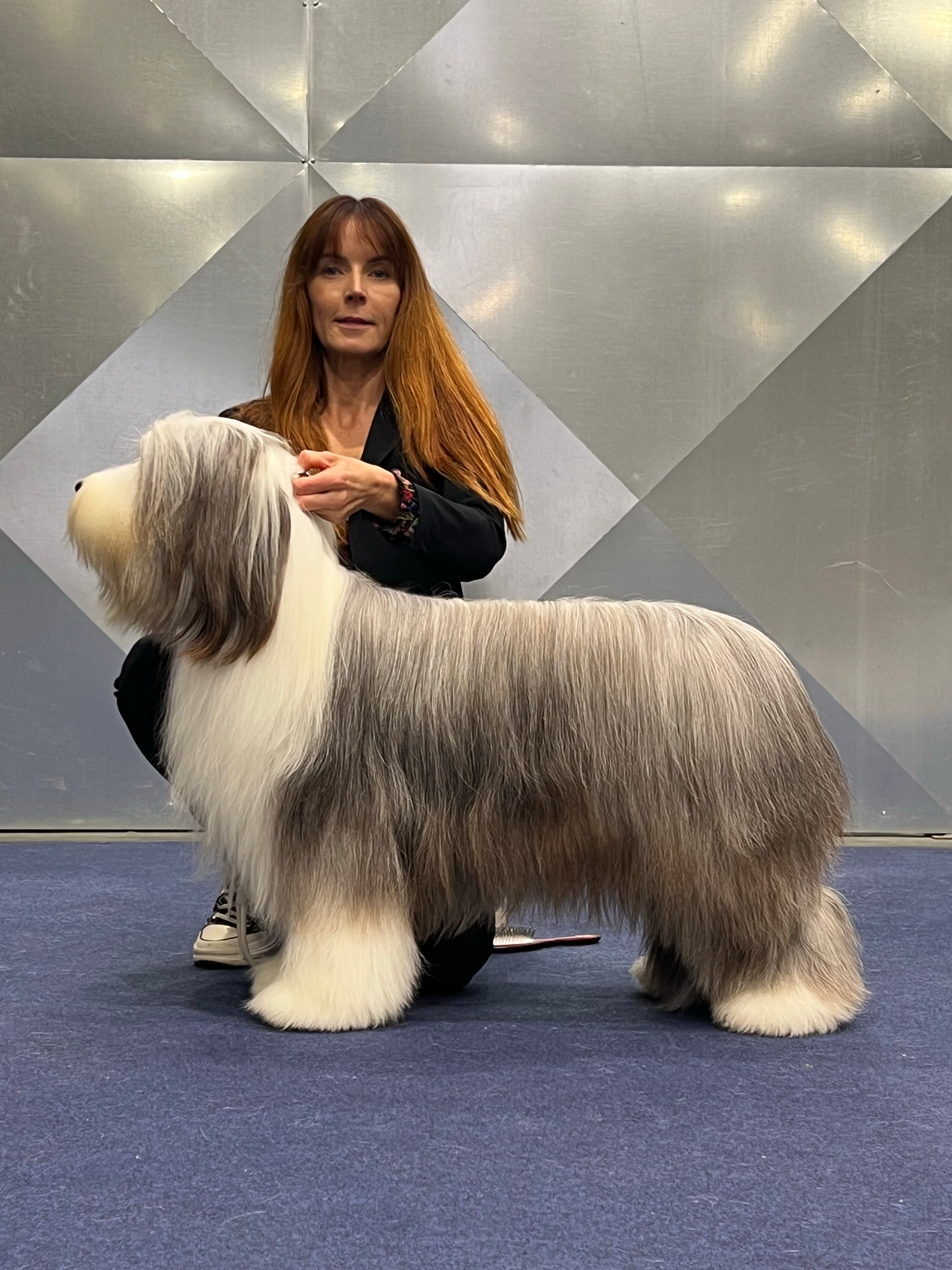 EURO DOG SHOW à CELJE (Slovenie)