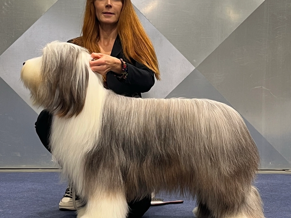 EURO DOG SHOW à CELJE (Slovenie)