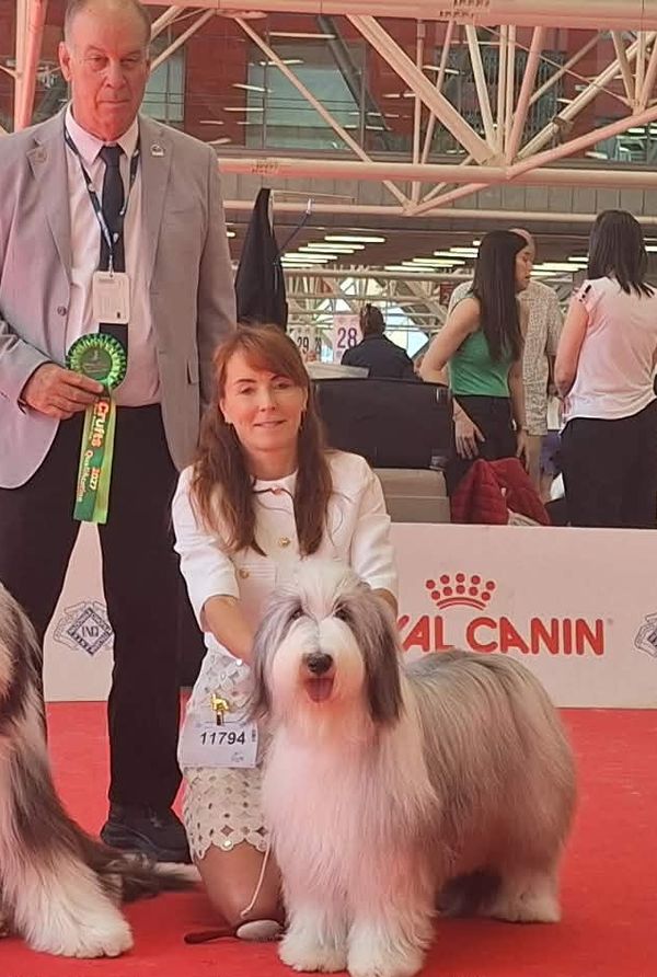 Photo — WORLD DOG SHOW BOLOGNE 7/6/2026