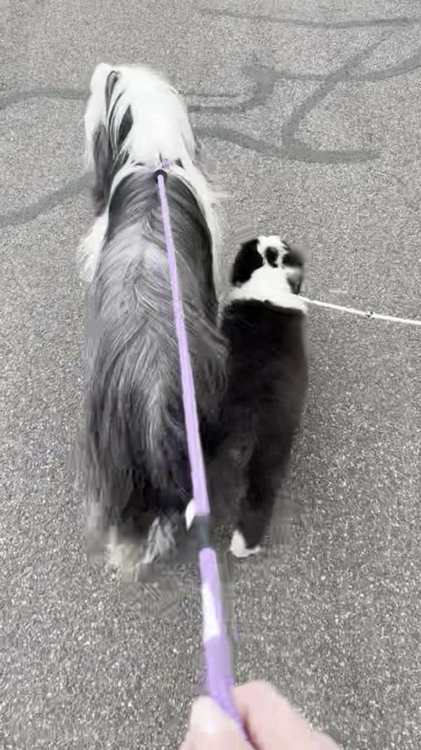 Portfolio De Saint Prixe — photo 24