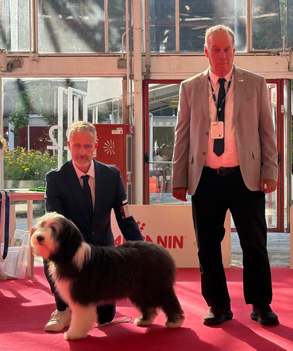 Photo — WORLD DOG SHOW BOLOGNE 7/6/2026