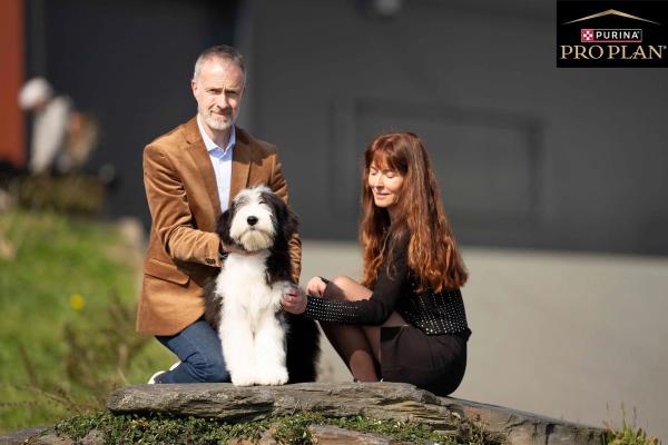 Photo de ARMONY DE SAINT PRIXE "MINDY"