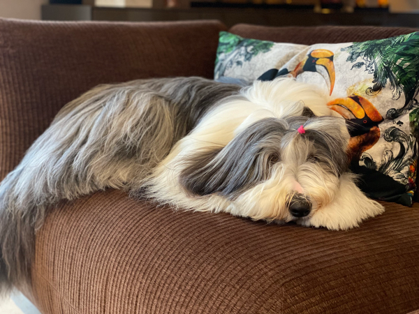 Photo de MAGGIE