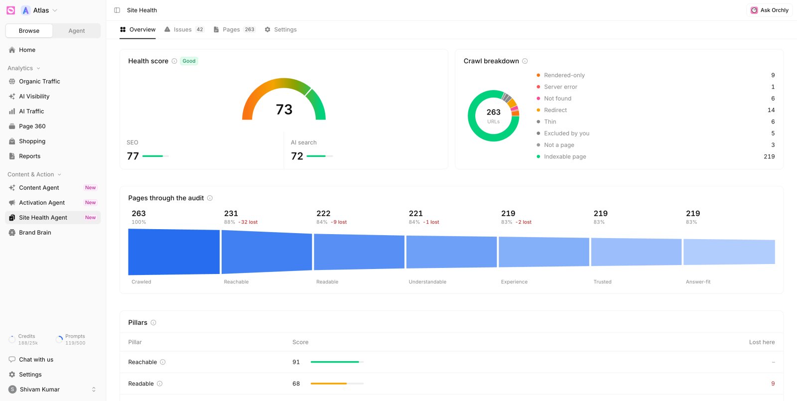 Orchly Site Health Agent audit showing technical SEO and AI search issues by page with priority