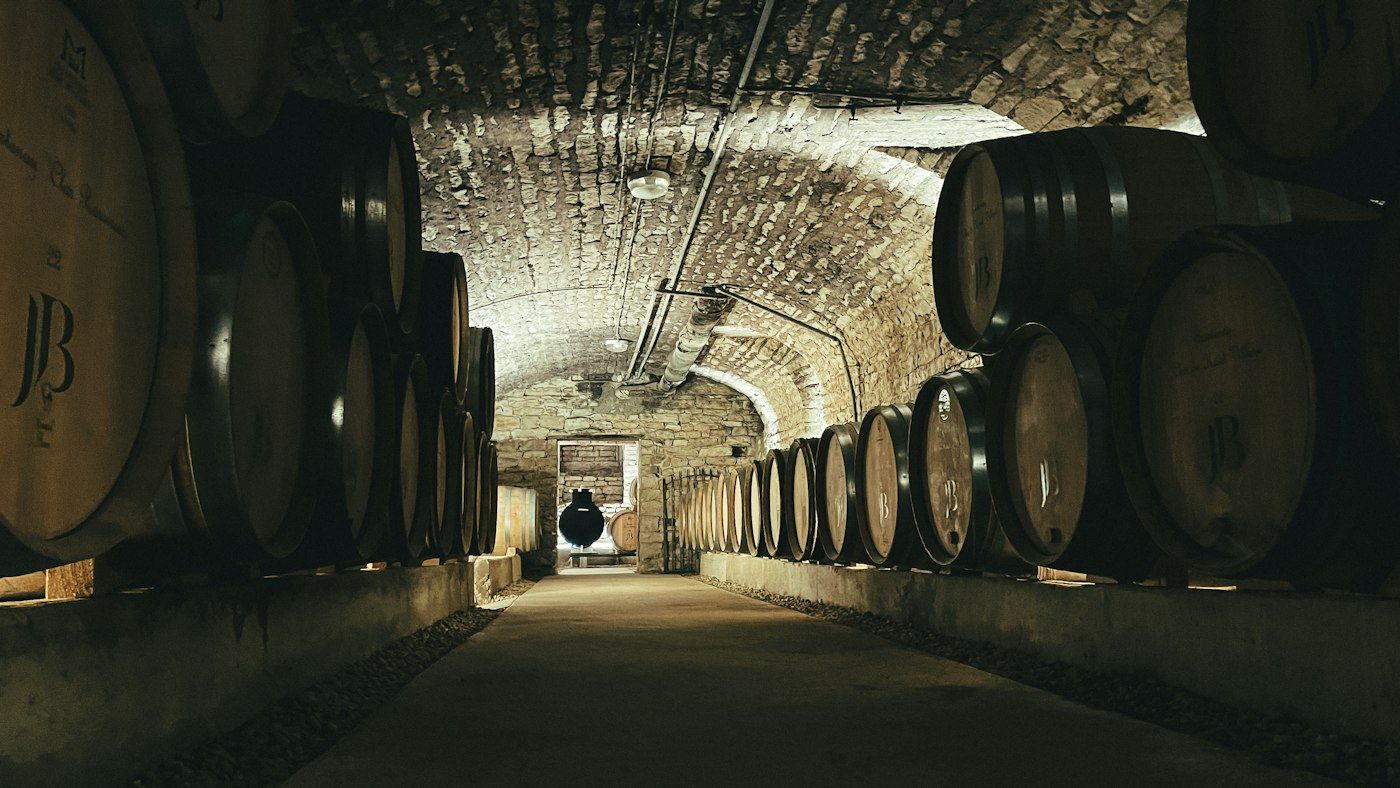 Cantina con botti e illuminazione a volta