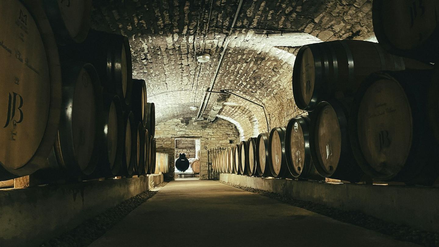 Cantina con botti e illuminazione a volta