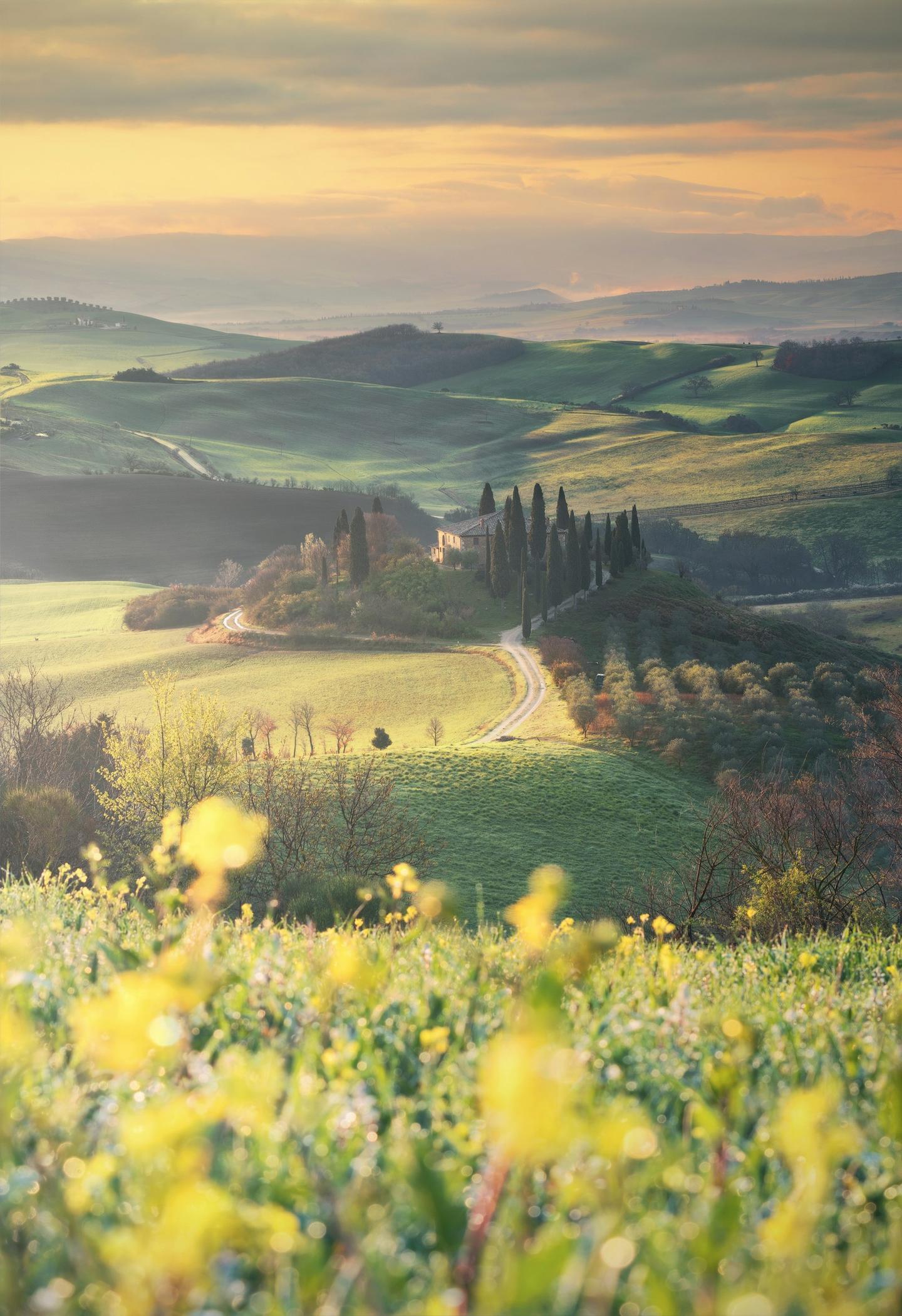 Campagna della Val d'Orcia
