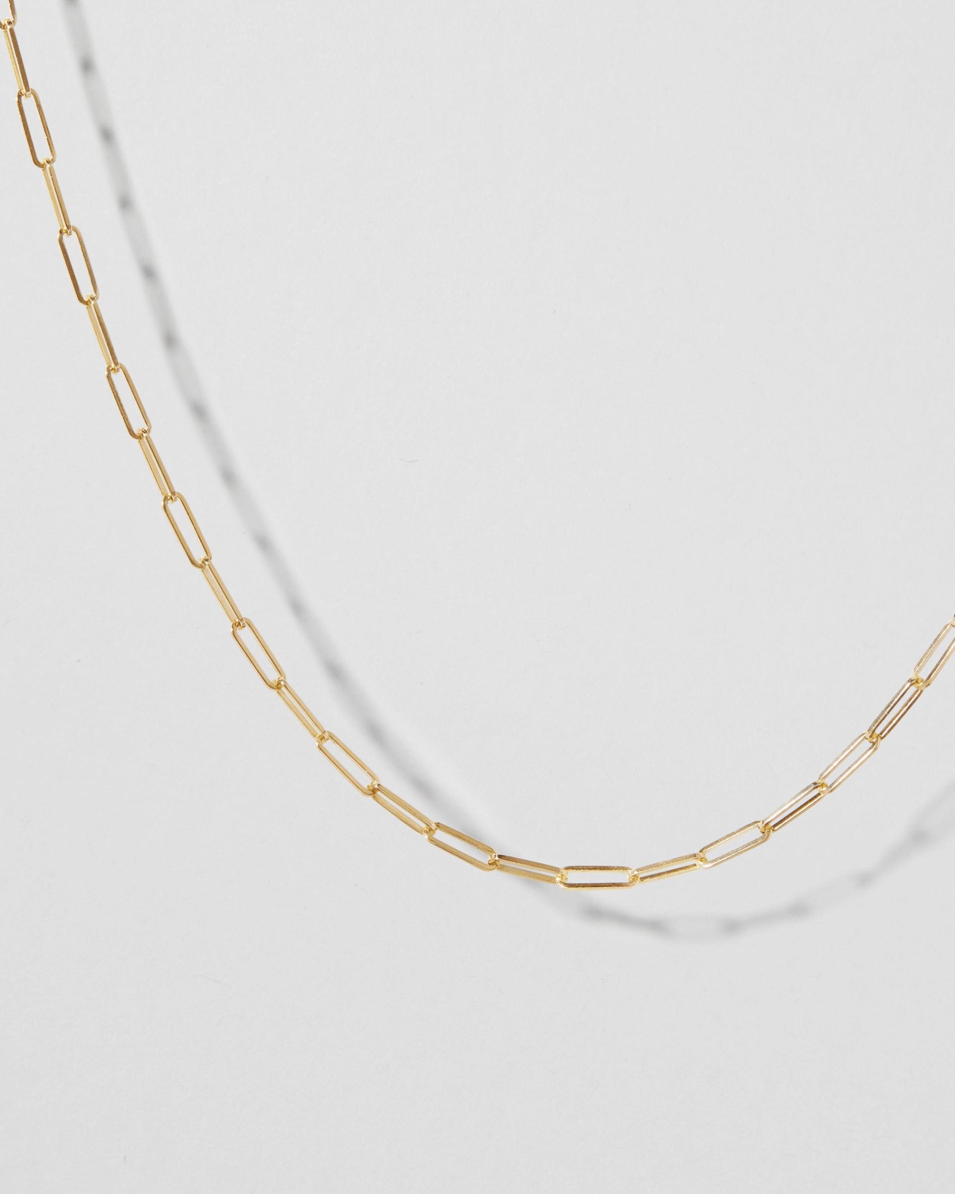 Detail of 14K Gold Chain