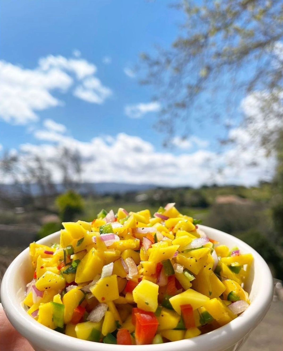 Bowl of mango salsa