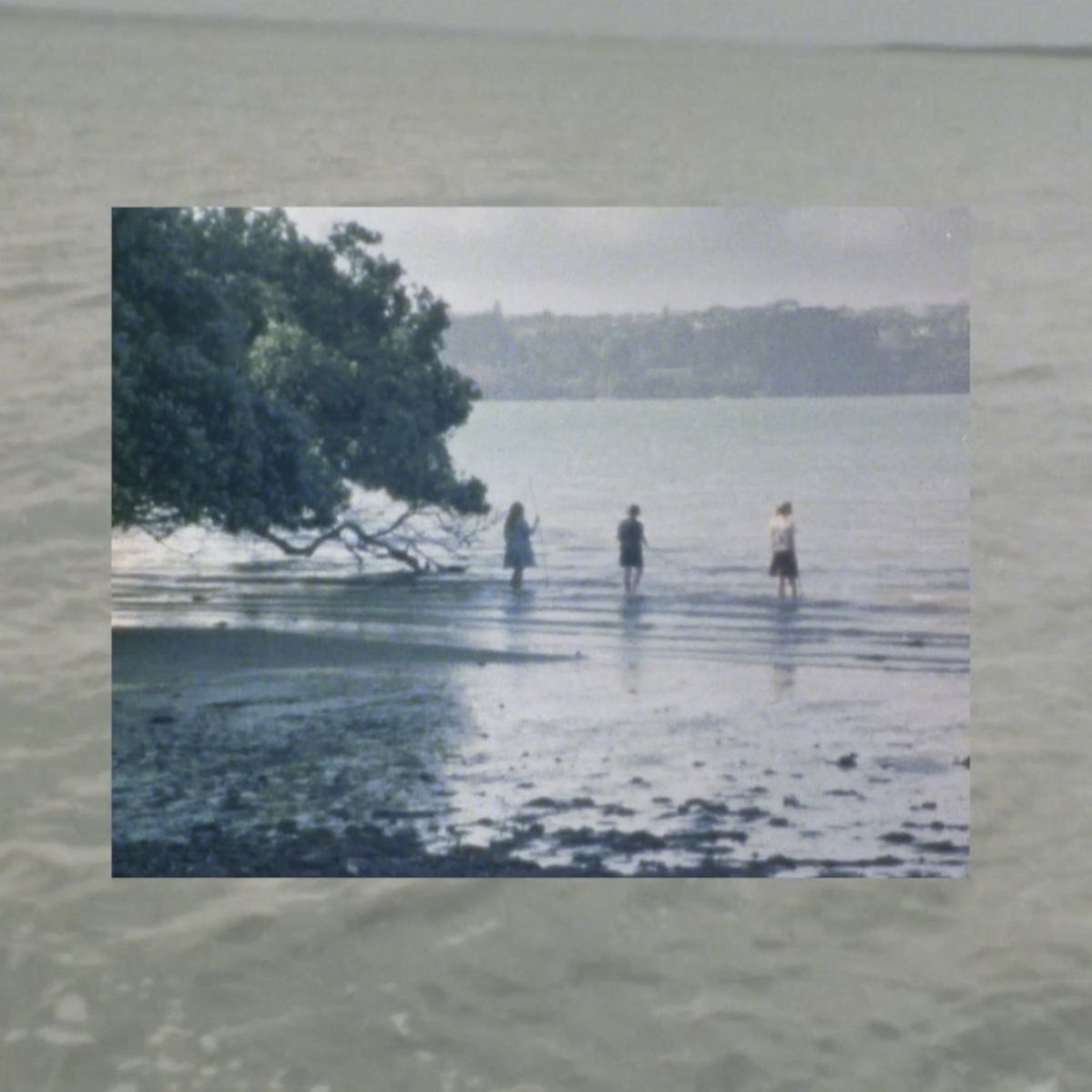 Moon Ritual album cover