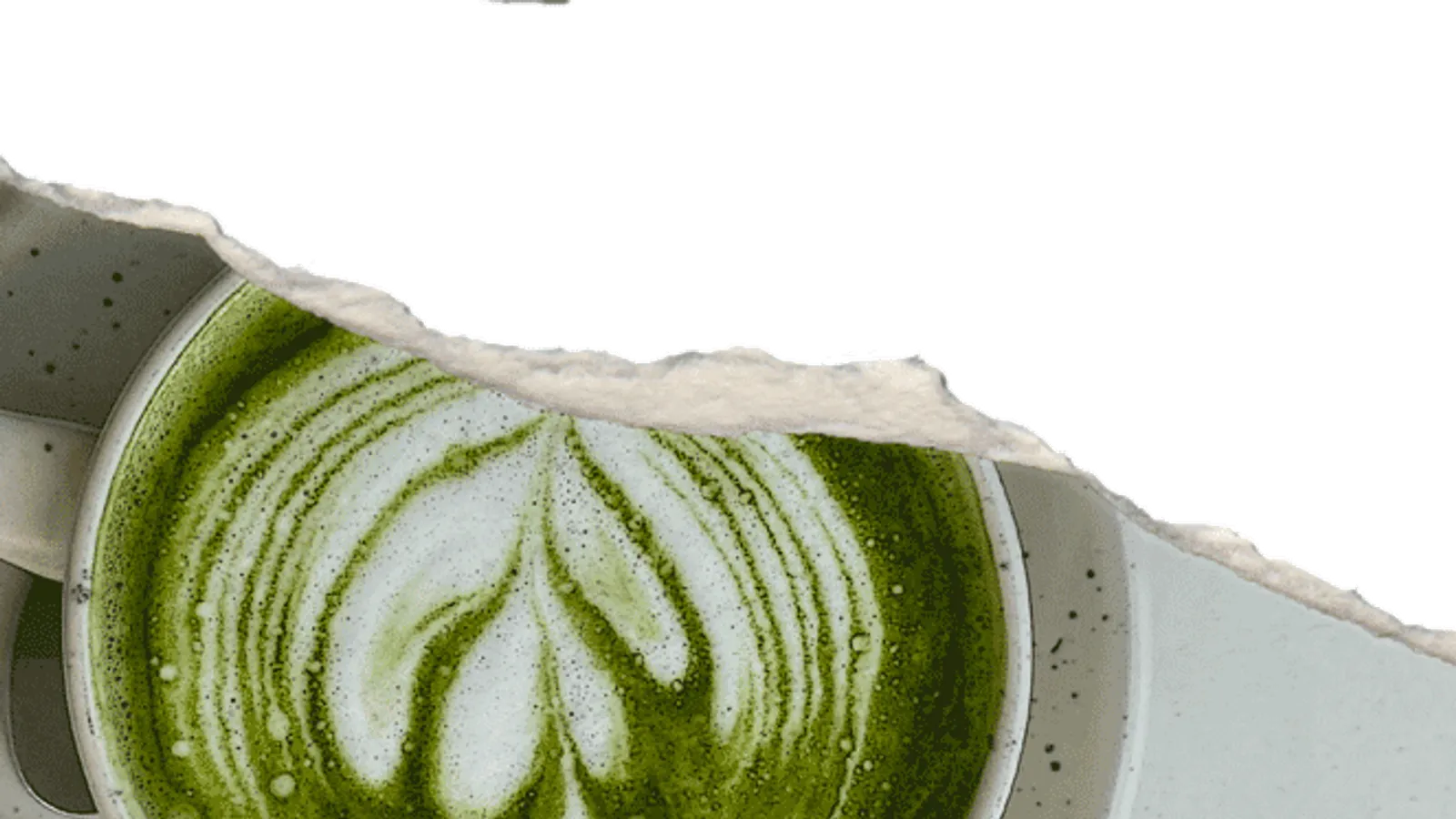 Matcha — wat het is, waar het vandaan komt en wanneer het werkt op kantoor