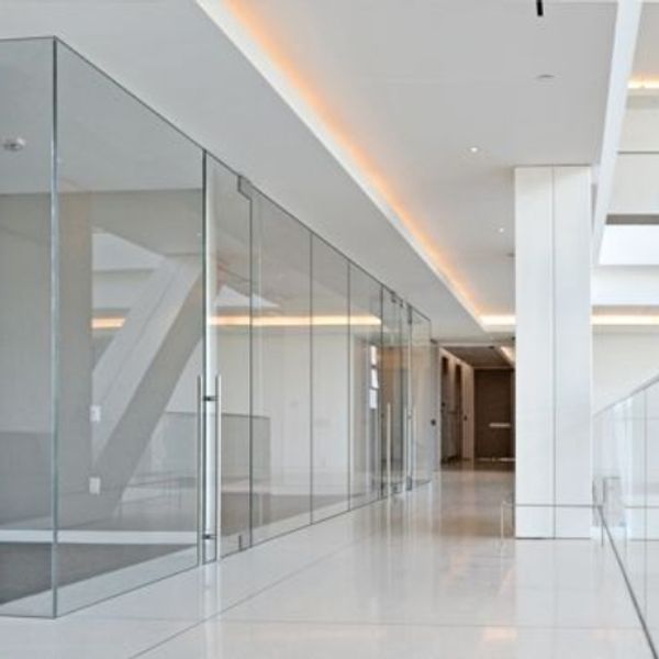 Frameless Glass Partitions