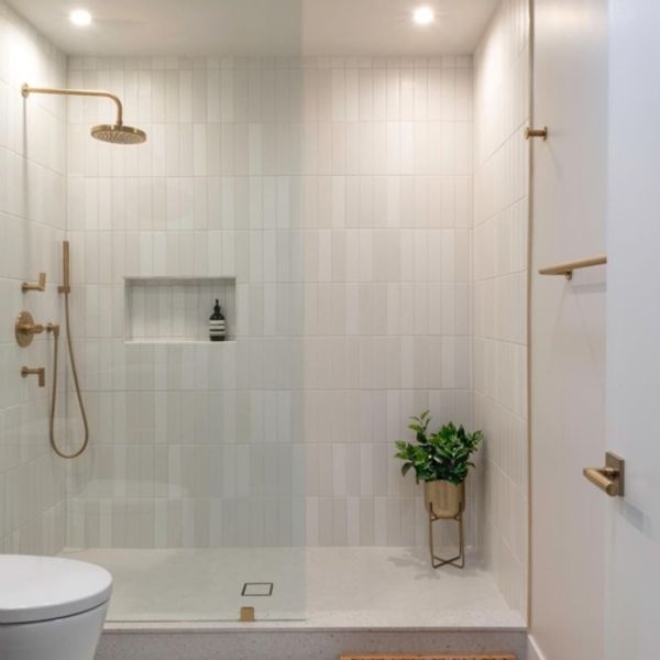 Frameless Fixed Shower Panels
