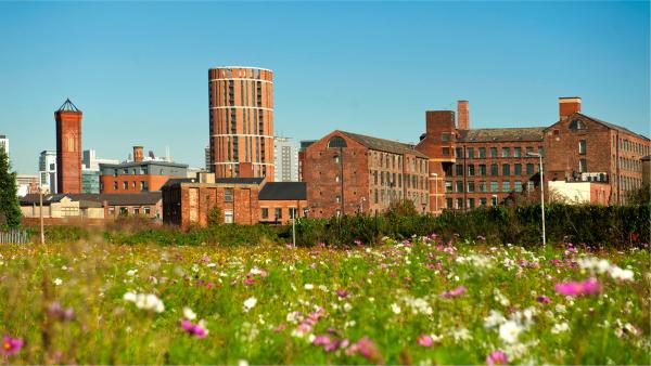 Corporate Sponsorship