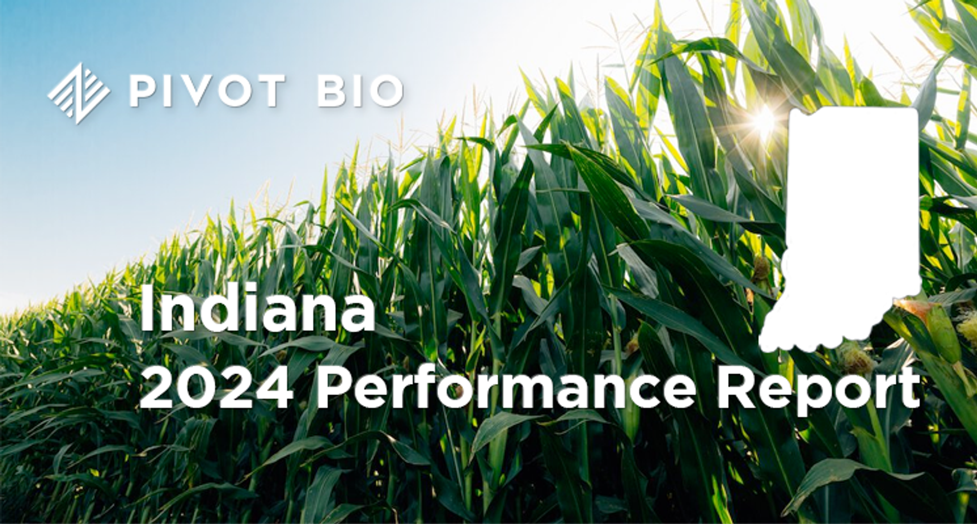 2024 Performance Report – Indiana