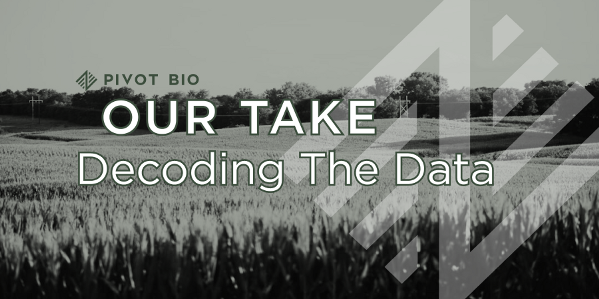 Blog | Pivot Bio